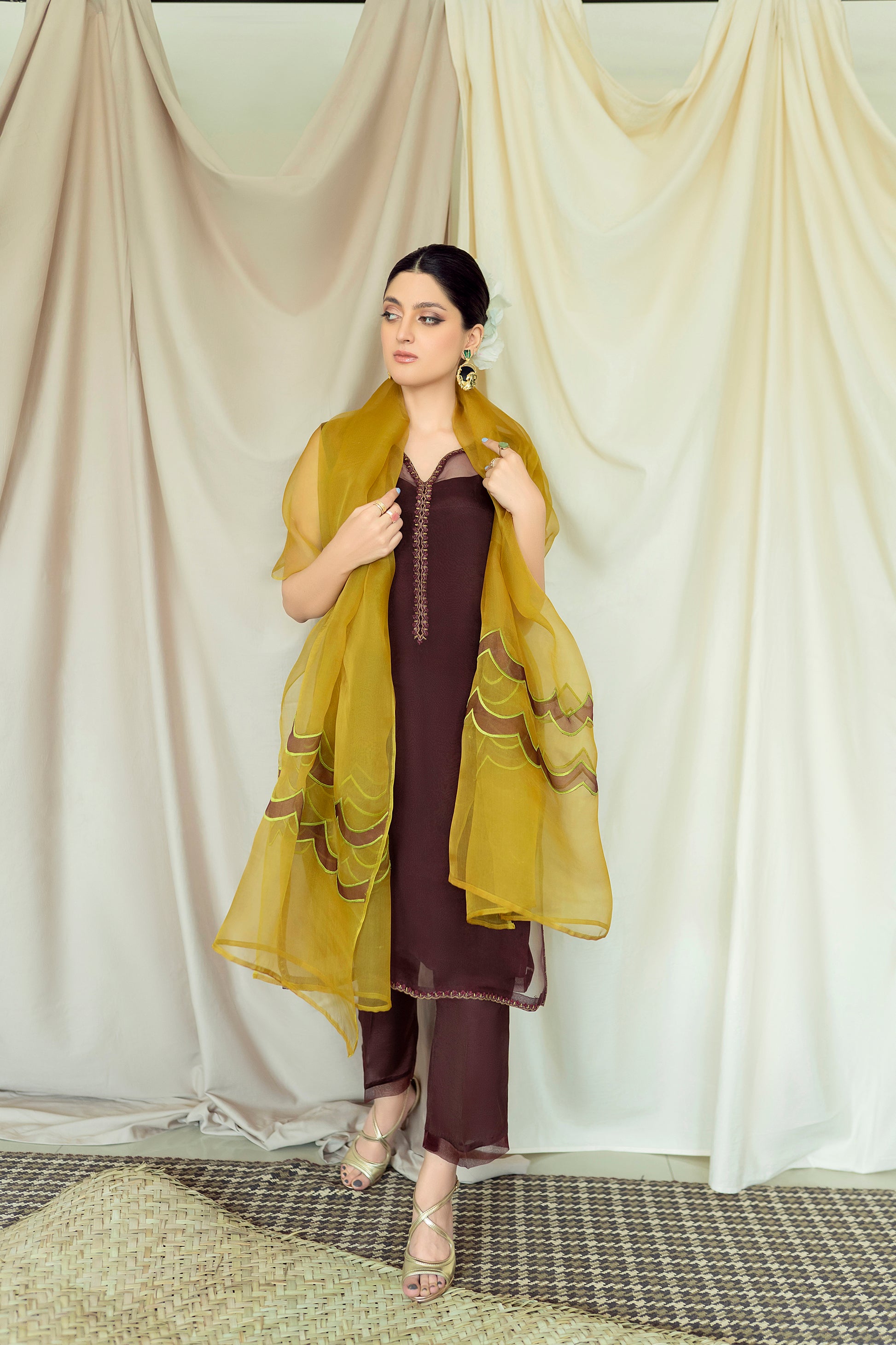 Dark Orchid Chocolate brown organza raw silk mustrud 4 piece Stitched (6)